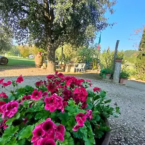 Bauernhof Azienda Agricola Polveraia, San Gimignano